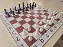 Ajedrez 1.webp