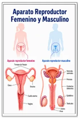 Captura de pantalla 2026-09-14 092215.webp