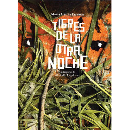 CUENTO TIGRES DE LA OTRA NOCHE
