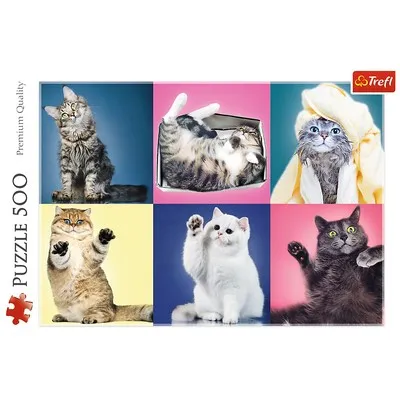 ROMPECABEZAS GATOS 500 PZAS